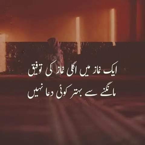 اسلام علیکم 😊 
آپ کا دن مبارک ہو۔ خوشی، کامیابی اور صحت سے بھرپور دن کی دعا کرتا ہوں۔آمین🤲

صبح بخیر 🌄