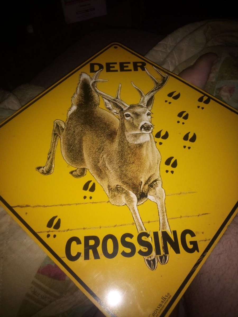 Sol_midnite's tweet photo. you deers can now legally cross my room https://t.co/XhODzITRSk