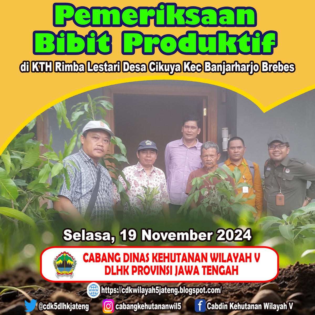 cdk5dlhkjateng's tweet image. CDK Wilayah V melakukan pemeriksaan bibit produktif (bitpro) di KTH Rimba Lestari, Desa Cikuya, Kec. Banjarharjo, Brebes pada 19 November 2024

Kegiatan ini memastikan kualitas dan kesiapan bibit untuk mendukung keberlanjutan program reboisasi dan pemulihan hutan. 

#Bitpro