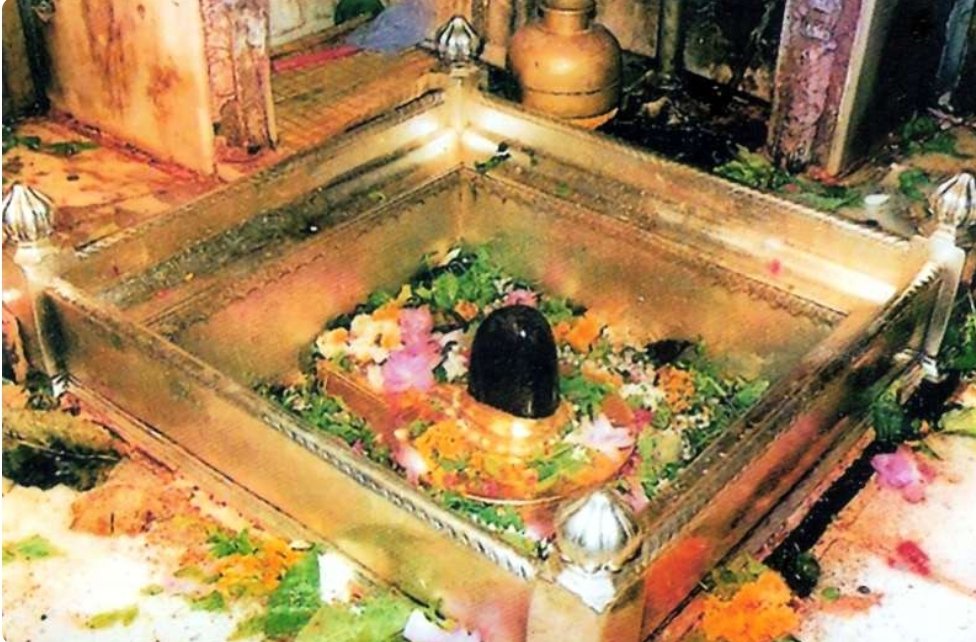 जय बाबा विश्वनाथ 🙏
जय भोले नाथ 🚩🙏