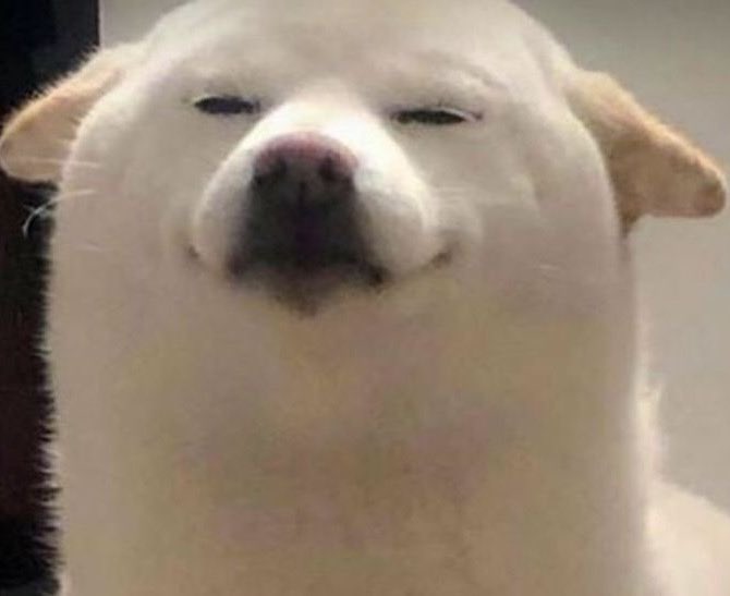 CEO of Zuma tweet media