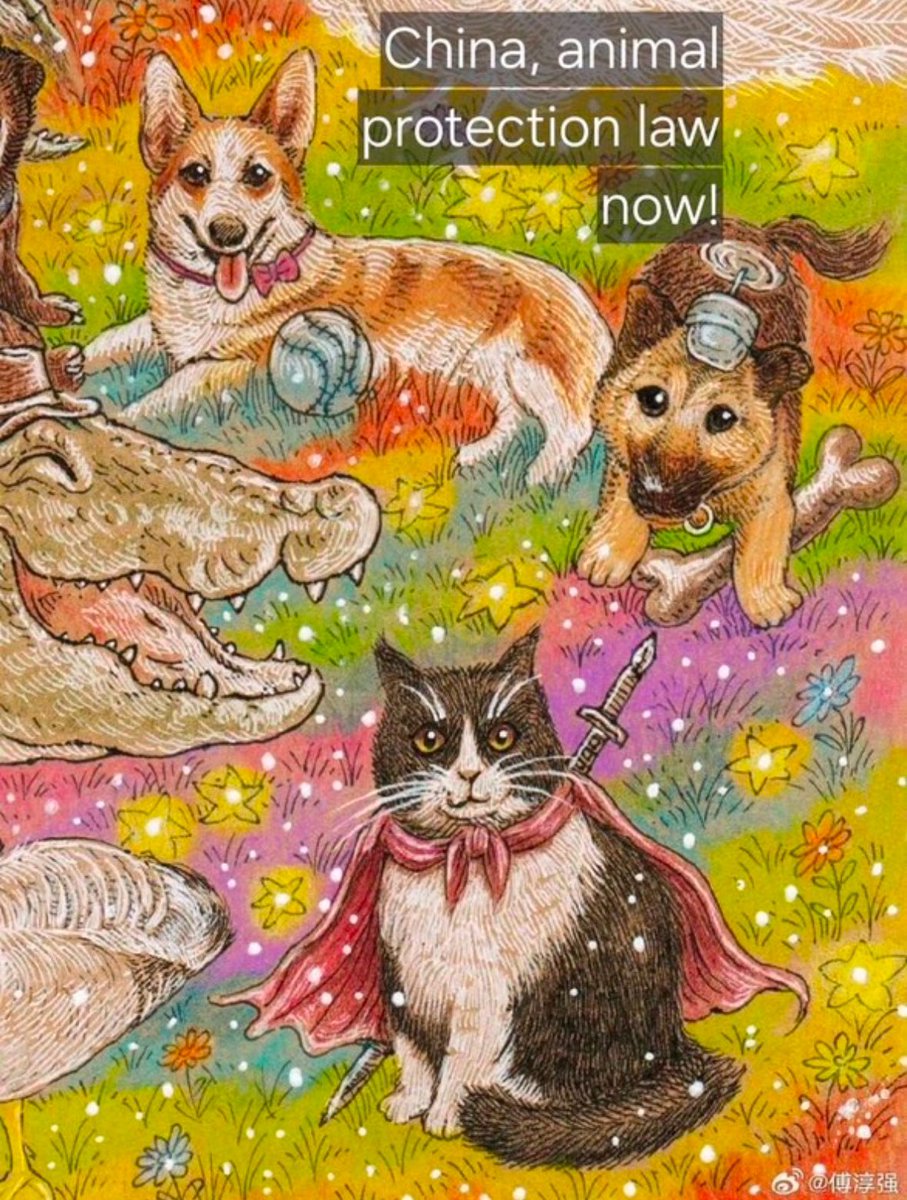 fraise_5's tweet photo. @felineguardians 🇧🇷Thank you so much！💫🙏´-

🇨🇳🐈‍⬛🐕🆘

#stopanimalcruelty
#stopchinadogtorture
#stopchinacattorture
#stopanimalabuse 
#animallivesmatter 
#animalsarenotthings 
#cat #dog #animal 
#china #chinafact https://t.co/SGFxvqfyHK