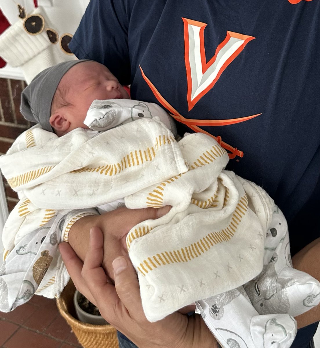 Jonathan Cotten tweet media