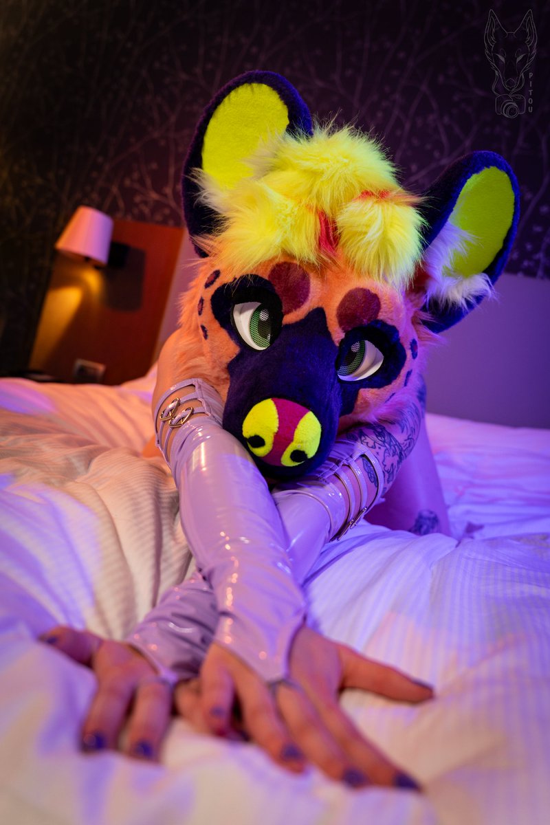 DeshoNoorable's tweet photo. ♡ Welcome to my profile, sweetheart ♡ 

Here because it turns me on to show myself ✨️

Enjoy my NSFW content, I love to post pretty pictures of me but also more ... spicy videos 👀

Free OF: https://t.co/CD5br9bG9n

Your support means the world to me ❤️

💌 My DM are open https://t.co/fdlUWxS28P