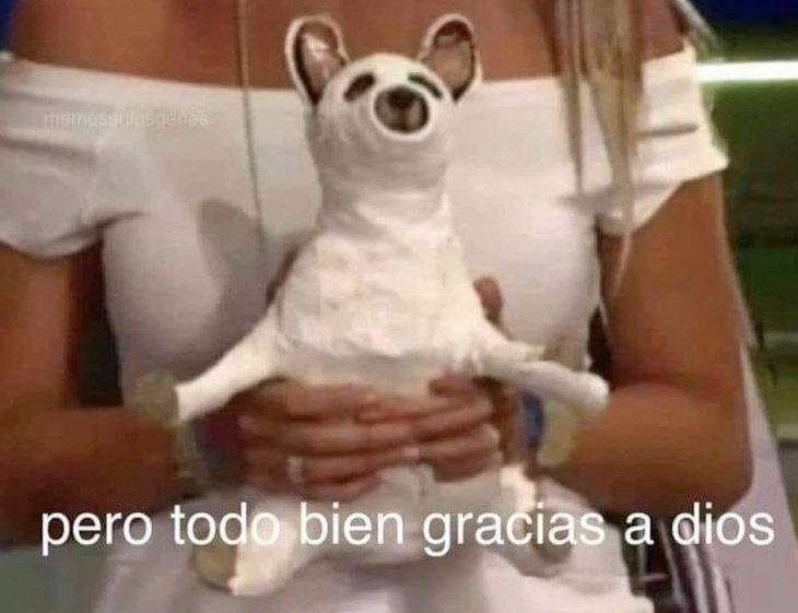 los venezolanos después de que nos robaran las elecciones, perder el miss universo, perder contra chile y seguir llevando coñazo tras coñazo