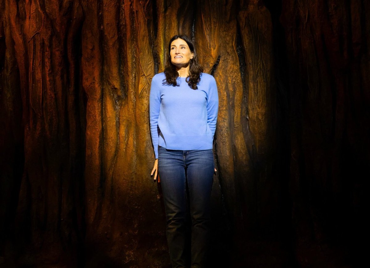 Nae 💗 (@lemonadeshelly) on Twitter photo For anyone wondering what I want for Christmas I wear a size front row <a href="/Redwoodmusical/">Redwood Musical</a> tickets to see <a href="/idinamenzel/">Idina Menzel</a> 🌲♥️ For anyone wondering what I want for Christmas I wear a size front row <a href="/Redwoodmusical/">Redwood Musical</a> tickets to see <a href="/idinamenzel/">Idina Menzel</a> 🌲♥️