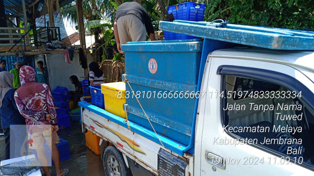 suendra3112's tweet photo. Selasa (19/11), Nyoman Suendra, Luhkan Kab.Jembrana, di Pokdakan Sangyang Tani, ds.Tuwed, kec.Melaya, melaporkan panen udang Vaname, kolam plastik, sebanyak 1700 kg, luas 1500 m², size 140, harga 48000/kg
#GiatLuhkanSatminkalGONDOL #Jembrana #Panen
@bppsdm_gondol @bppsdm_kp https://t.co/k0EqWLU57f
