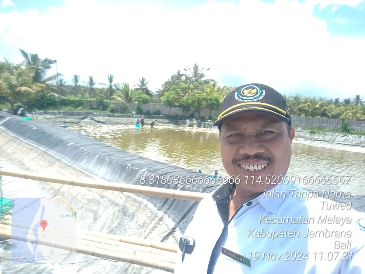 suendra3112's tweet photo. Selasa (19/11), Nyoman Suendra, Luhkan Kab.Jembrana, di Pokdakan Sangyang Tani, ds.Tuwed, kec.Melaya, melaporkan panen udang Vaname, kolam plastik, sebanyak 1700 kg, luas 1500 m², size 140, harga 48000/kg
#GiatLuhkanSatminkalGONDOL #Jembrana #Panen
@bppsdm_gondol @bppsdm_kp https://t.co/k0EqWLU57f