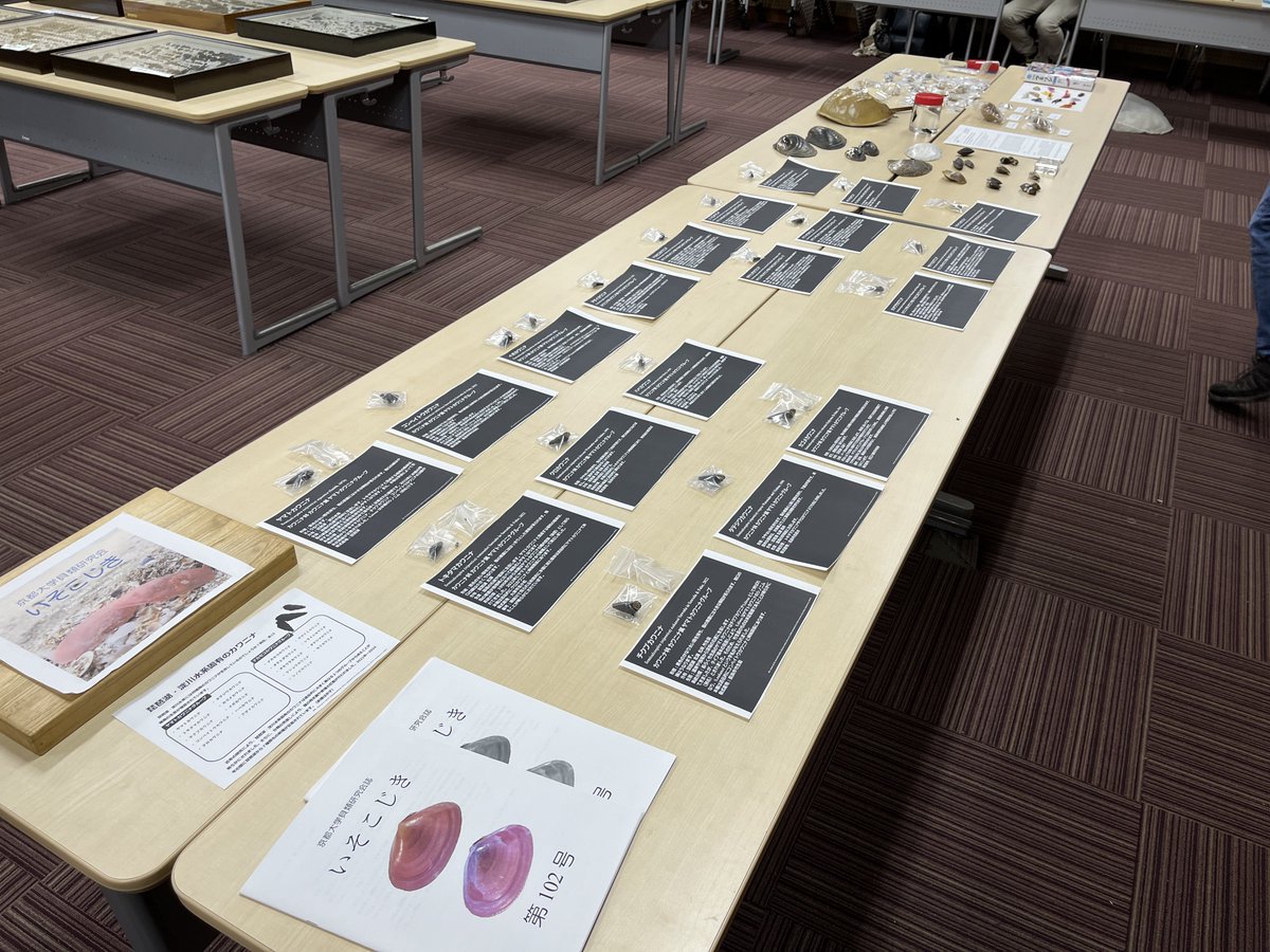 🦋【展示中！】🐚

野生生物研究会は、本部構内、総合研究8号館2号室にて展示を行っています‼️
様々な生き物の標本や生態を出展しておりますのでぜひお越しください。

会誌やグッズの販売も行っています！