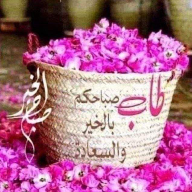 صباحكم خير وسعاده يارب 
اجازه جميله ممتعه يارب العالمين 
ربي يحفظكم ويسعدكم 🌹🌹