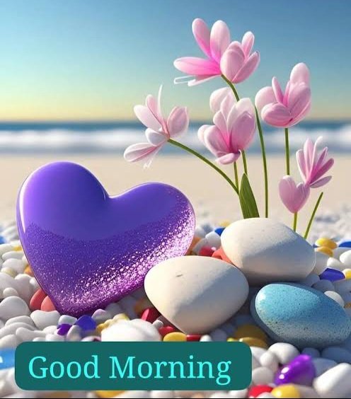 dpdinesh17's tweet image. Good morning to all my friends 🎋
       Have a great day today ⛰️