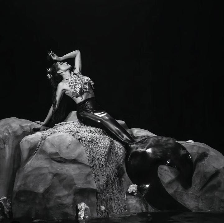 LNDA Data tweet media