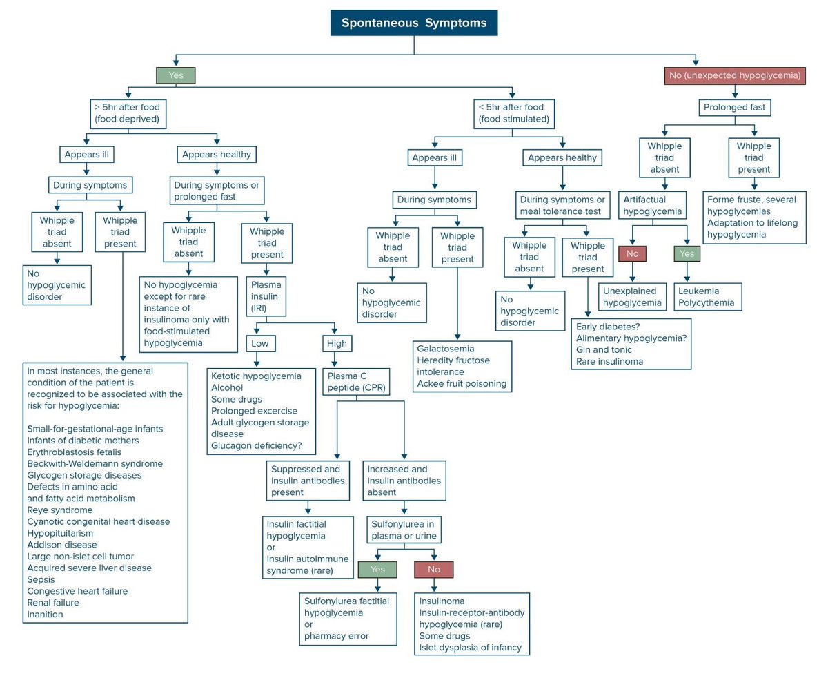 drsthanus's tweet image. Hi, This is Sthanu.
My previous account was @Sthanu5 deactivated.
Again here with this new one!
***
Hypoglycemia.
Diagnostic algorithm.
emedicine.medscape.com