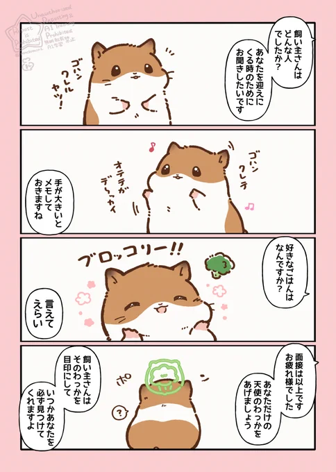 ハムスターと天国の面接 つづき 