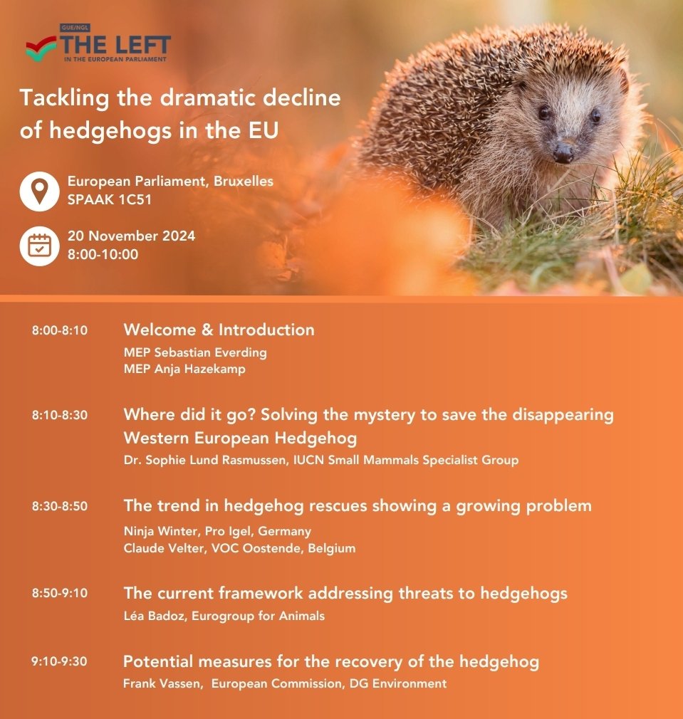 Early morning start to save our hedgehogs! Hedgehogs are in decline in Ireland and across the EU. #Biodiversity