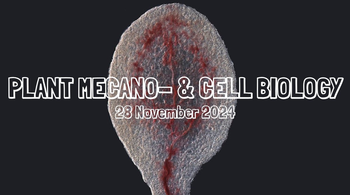 Physiologia Plantarum (@pplplantarum) on Twitter photo 🌱 Join us for the 7th Connecting Plant & People Webinar on Mechano- & Cell Biology! 🌿
The event is hosted by @hamann_lab
🗓️ Live Event: November 28
💻 Register for Free & check out the program at bit.ly/3ARsdok
<a href="/PlantSpps/">Scandinavian Plant Physiology Society - SPPS</a> <a href="/wileyplantsci/">Wiley Plant Science</a> #Plantsci 🌱 Join us for the 7th Connecting Plant & People Webinar on Mechano- & Cell Biology! 🌿
The event is hosted by @hamann_lab
🗓️ Live Event: November 28
💻 Register for Free & check out the program at bit.ly/3ARsdok
<a href="/PlantSpps/">Scandinavian Plant Physiology Society - SPPS</a> <a href="/wileyplantsci/">Wiley Plant Science</a> #Plantsci