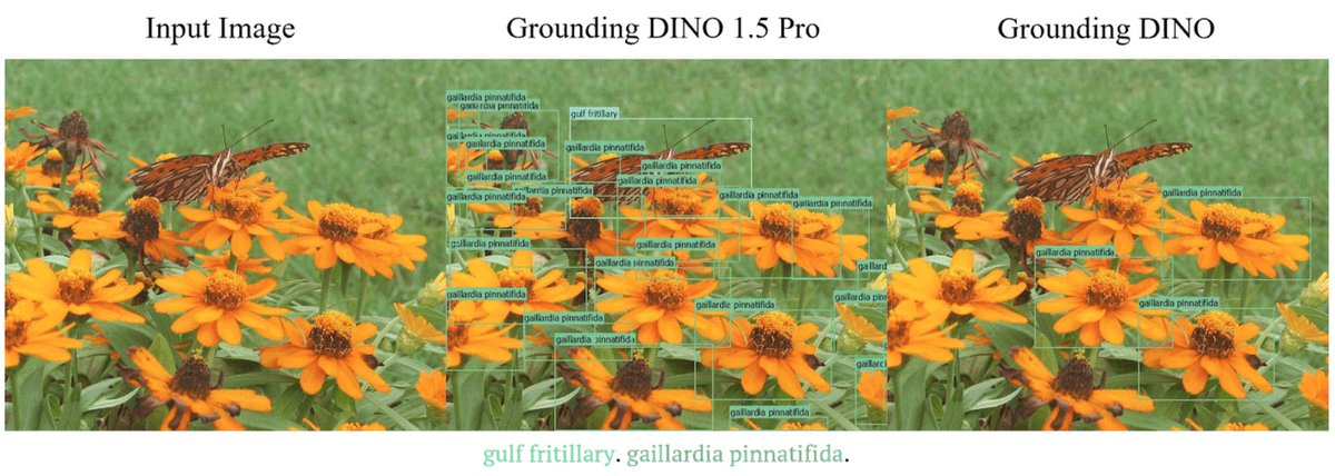 visincept's tweet image. In May 2024, the 1.5 Edge &amp;amp; Pro versions launched, powered by Grounding DINO. The Edge version offers fast, reliable detection with low power usage, while the Pro version leads in open-world detection performance.
#machine_learning #MachineLearningAndAI