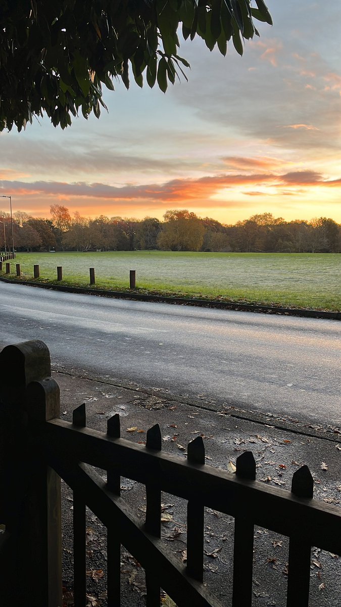 A beautiful morning walk to school.