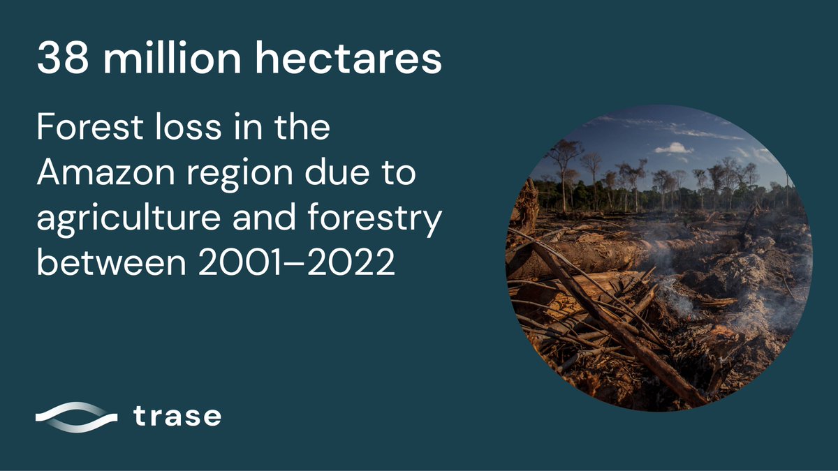 Trase (@traseearth) on Twitter photo 🌳A report developed by Trase, <a href="/chalmersuniv/">Chalmers University of Technology</a>, <a href="/SEIresearch/">SEI Research</a> & <a href="/WWF/">WWF</a> confirms that the expansion of agriculture & forestry is the main direct driver of #deforestation across the Amazon region.
🔎Find out more about the report findings:
trase.earth/insights/boliv… 🌳A report developed by Trase, <a href="/chalmersuniv/">Chalmers University of Technology</a>, <a href="/SEIresearch/">SEI Research</a> & <a href="/WWF/">WWF</a> confirms that the expansion of agriculture & forestry is the main direct driver of #deforestation across the Amazon region.
🔎Find out more about the report findings:
trase.earth/insights/boliv…