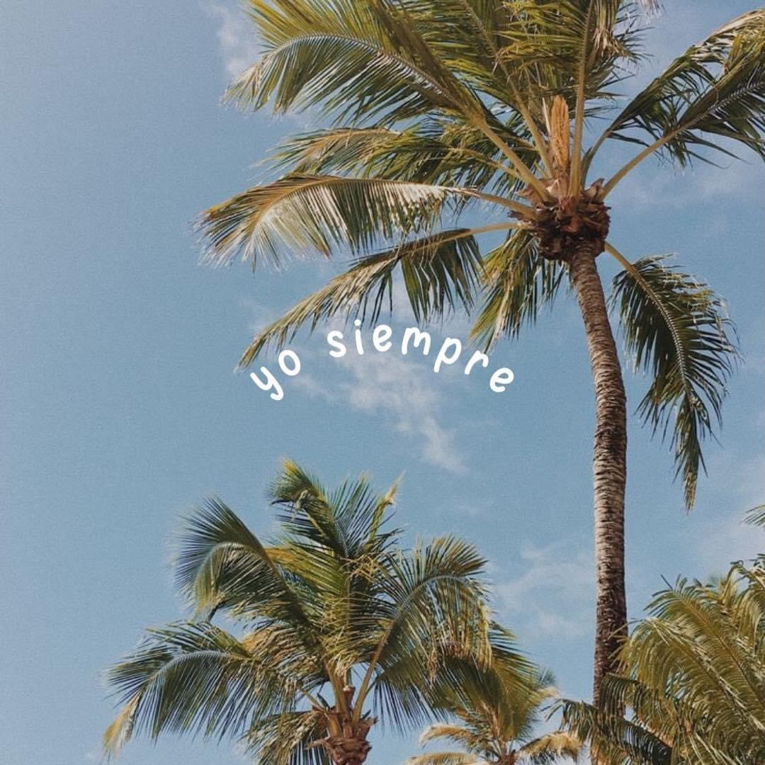 YISS💗 tweet media