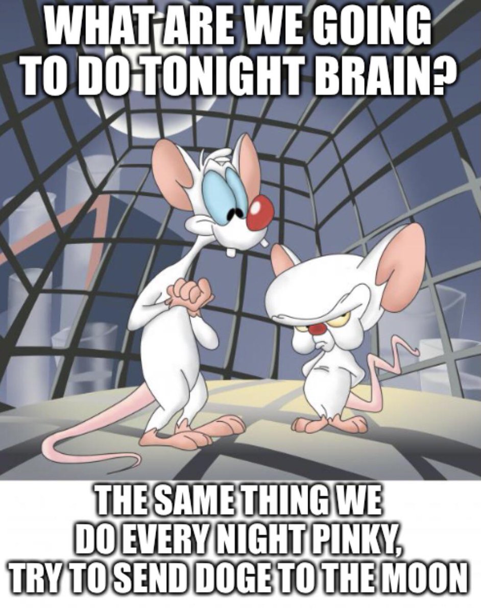 JustinScerini's tweet photo. 🧠 https://t.co/TzyNS7kv3e
