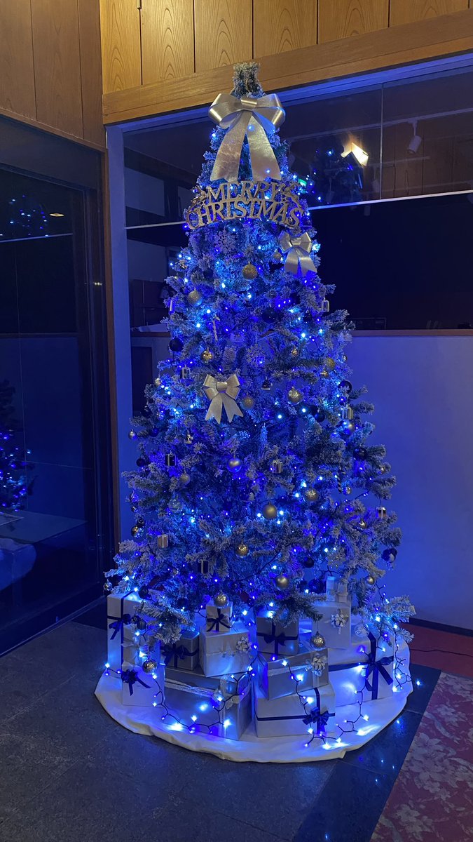 sanyouso's tweet photo. こんにちは🌞

三陽荘にもクリスマスがやってきました🧑🏻‍🎄　
ぜひ足を運び見に来てはいかがですか🎀

✨🎄Merry Xmas🎄✨

🧸🧸🧸🧸🧸🧸🧸🧸🧸🧸🧸
🎁🎁🎁🎁🎁🎁🎁🎁🎁🎁🎁 https://t.co/uijTcuaM7a