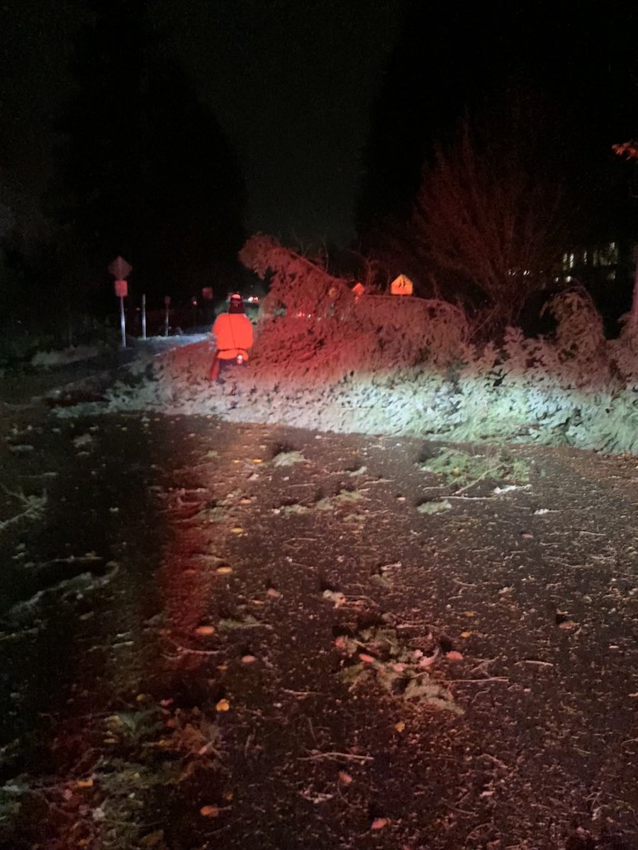 EastsideFire's tweet photo. Trees are falling throughout our service area. Issaquah Hobart Rd SE/SE May Valley Rd has been closed due to trees down in the road. Do not call 911 for trees down in the road, call road services to report. Keep lines clear for emergencies. https://t.co/jW7KNAfj9K
