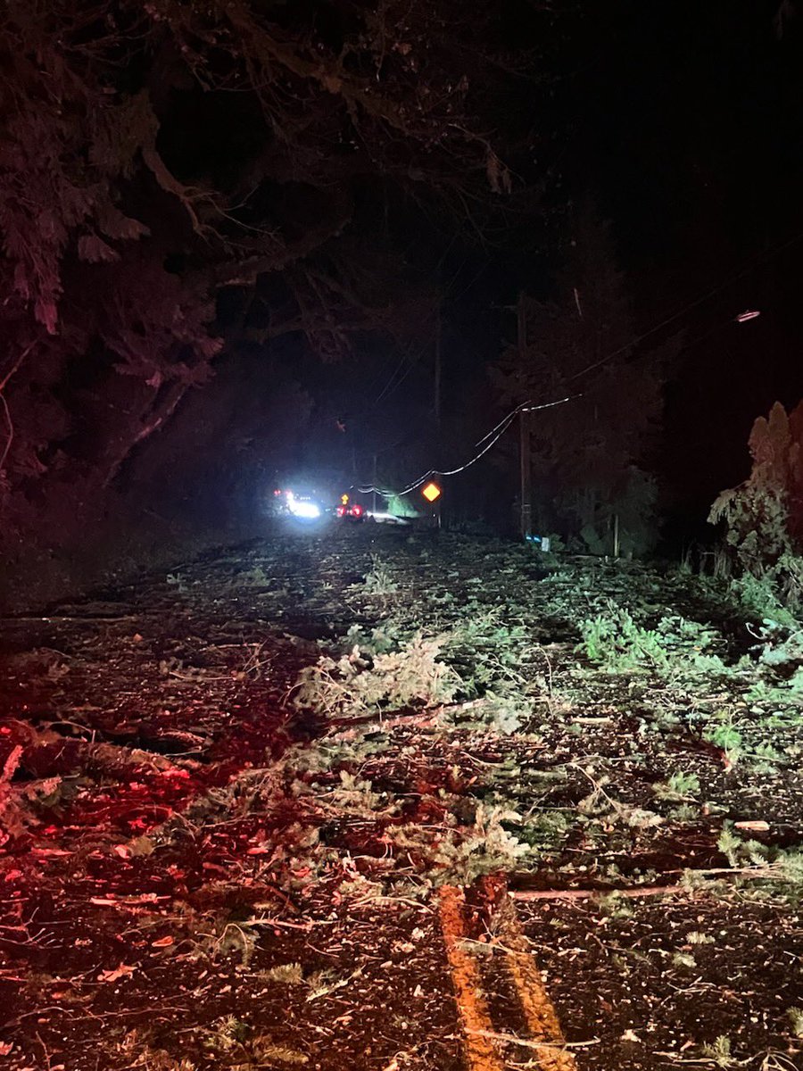 EastsideFire's tweet photo. Trees are falling throughout our service area. Issaquah Hobart Rd SE/SE May Valley Rd has been closed due to trees down in the road. Do not call 911 for trees down in the road, call road services to report. Keep lines clear for emergencies. https://t.co/jW7KNAfj9K