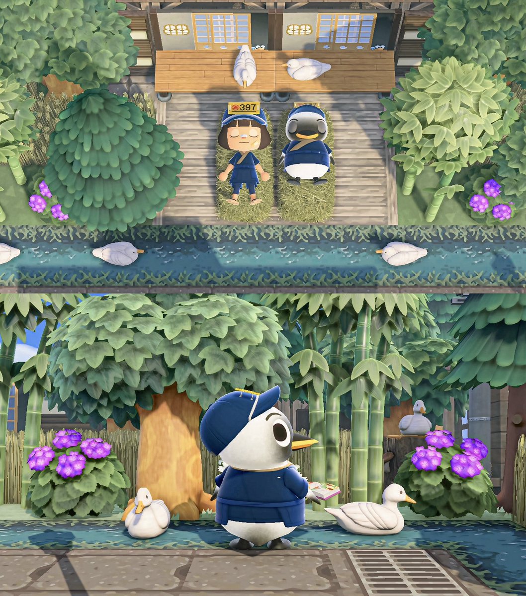 サブ島🐥カマボコ宅

板前の服似合ってる🐧

#ACNH #AnimalCrossing #あつ森写真部 #あつ森