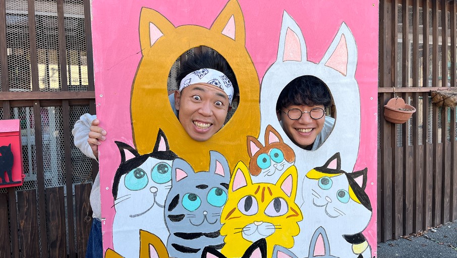 ねこねこ ◤◢◤ 今夜11時放送のねこ自慢◢◤◢ ☆ねこ好き俳優 #前原滉 さん