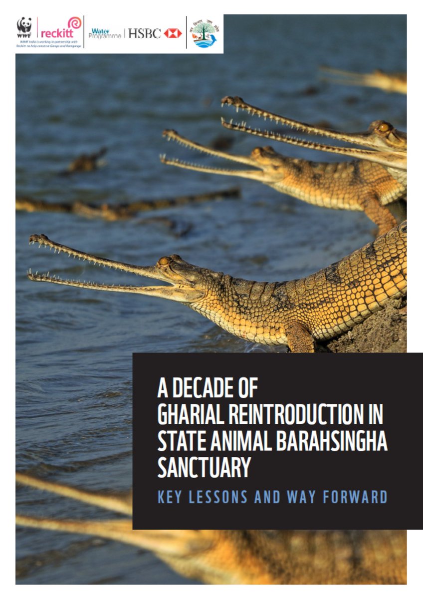 Recently, #WWFIndia launched the report "A Decade of Gharial Re-introduction in State Animal Barasingha Sanctuary" in the Pilibhit Tiger Reserve, Uttar Pradesh.