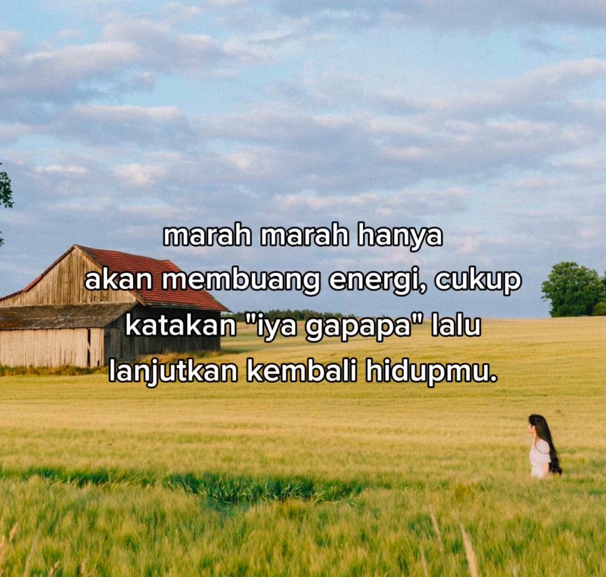 kelvin tweet media