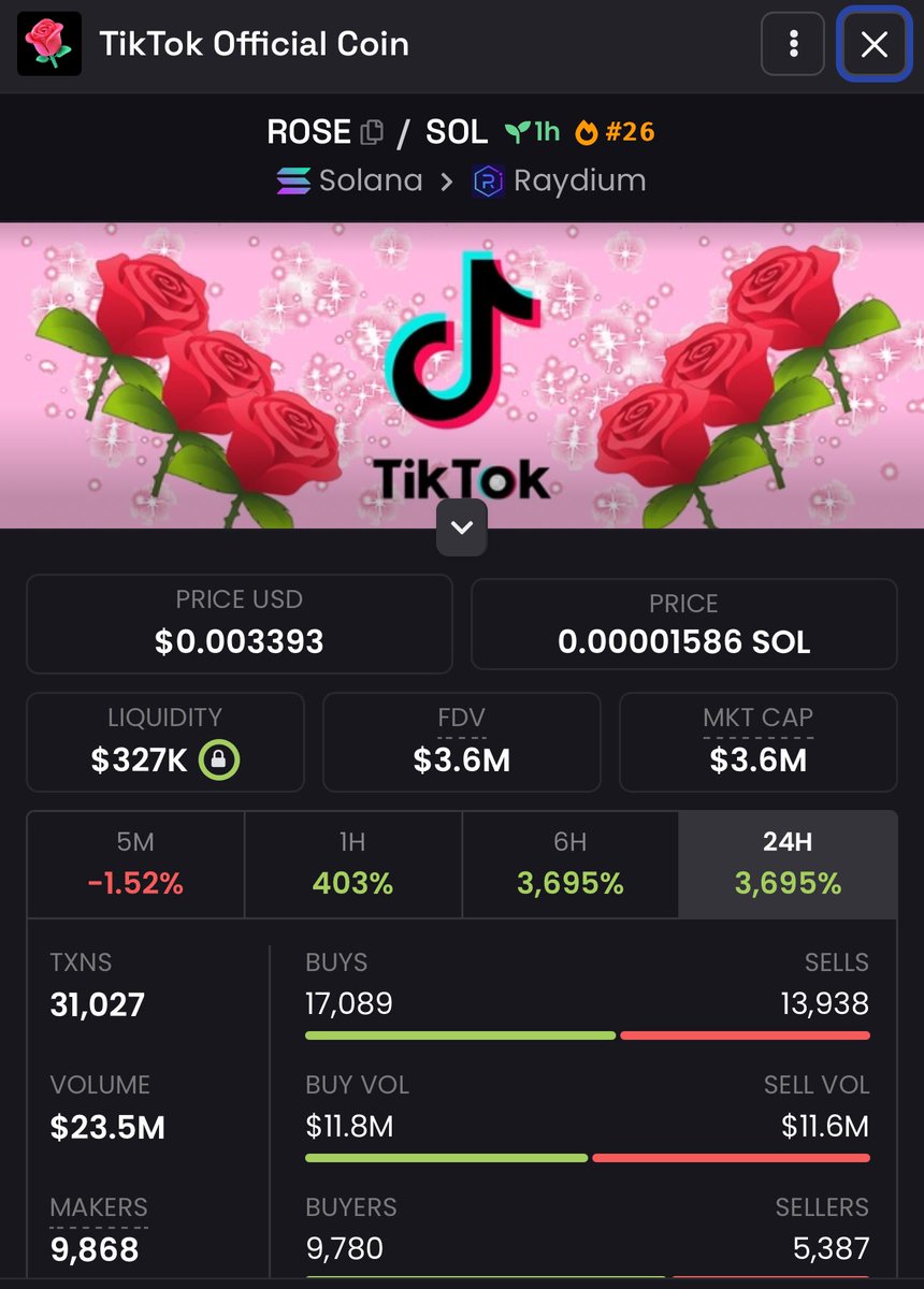 $ROSE - sub 5m now

wait until TikTok finds out there’s a rose memecoin that is sitting at less than 1 cent 

59WtMhHrTe4Sn9gfGNhFD5bQSTLjvykJPT3nTT2Dpump