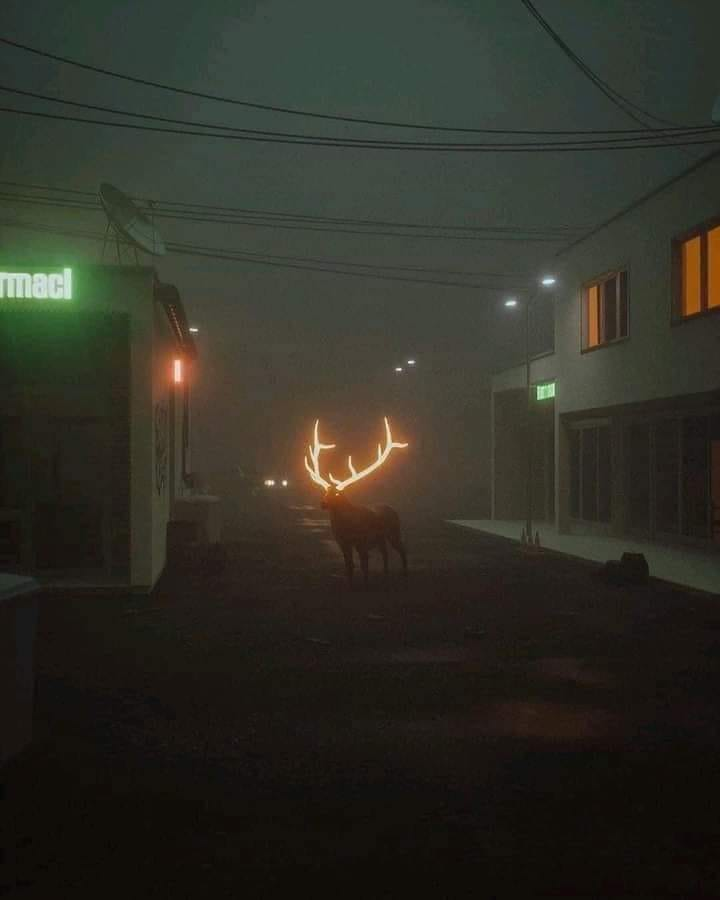 Fabrizio Palasciano tweet media