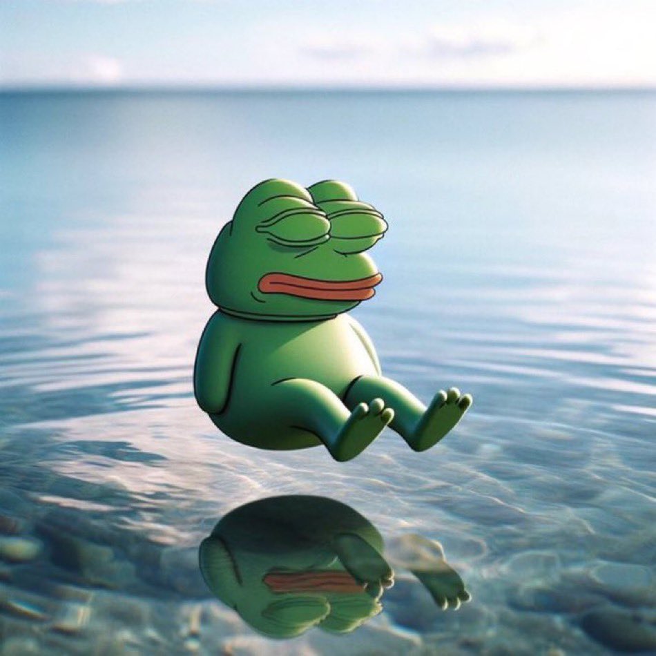 Hold the Pepe and believe in it, the next jump will definitely be higher🐸
#PEPE #memecoin