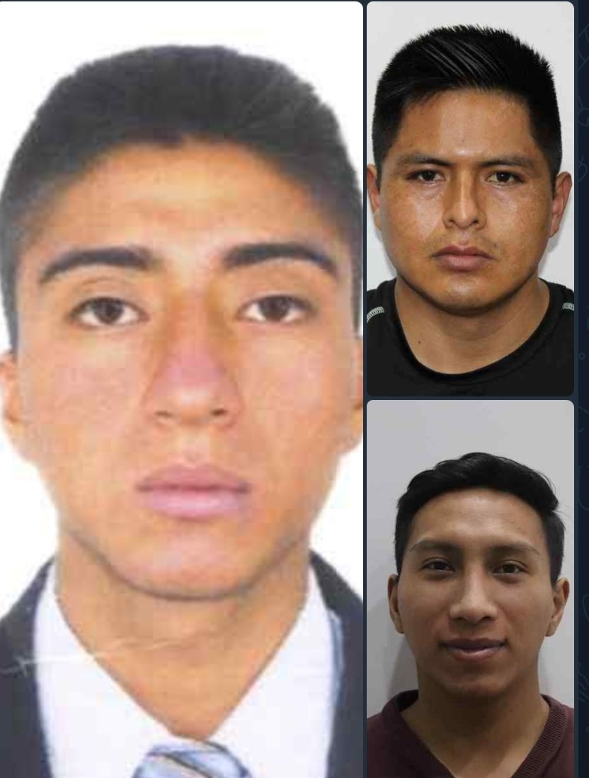 Guillermo Torres tweet media