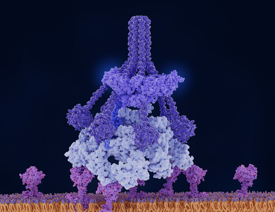 New research reveals that natural antibodies secreted by a subset of B cells prevent reactivation of endogenous retroviruses in mice. 

Read more in <a href="/SciImmunology/">Science Immunology</a>: bit.ly/3YGi4CB