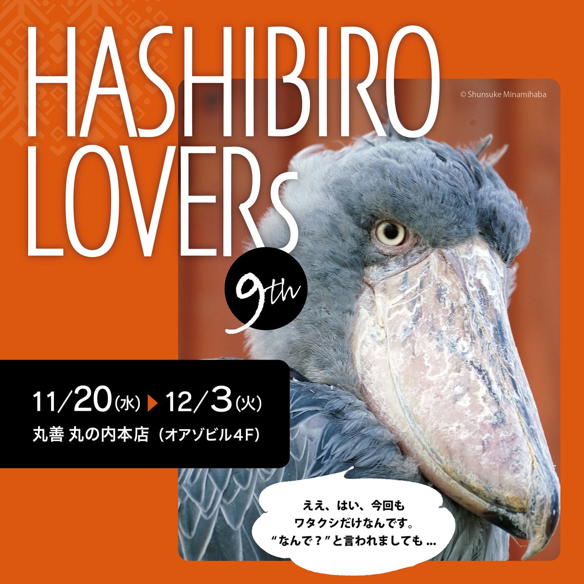 Hashibiro Lovers 9th」開催中です。11/20～12/3（最終日17：00終了