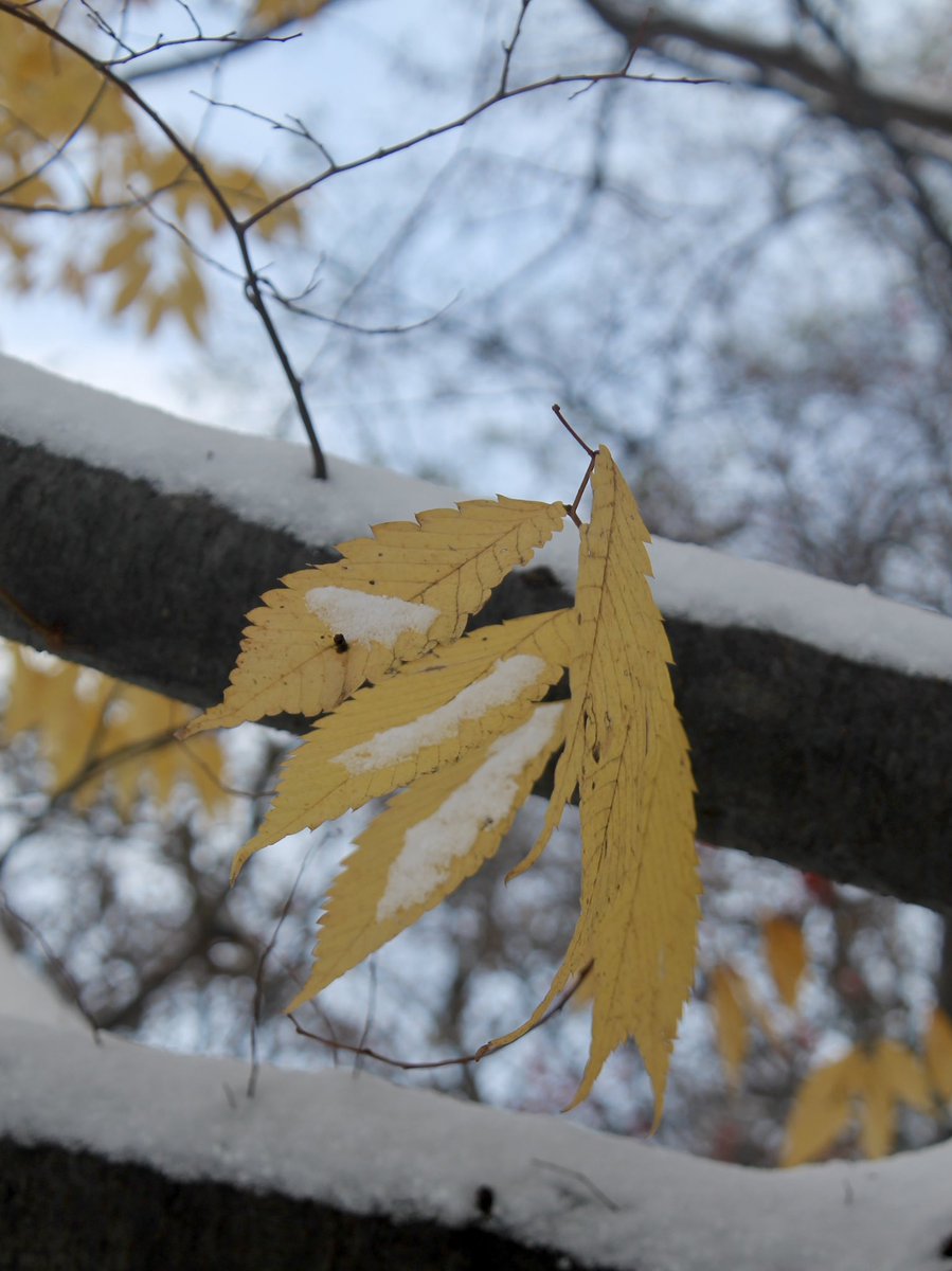 t_NickAkers's tweet image. 