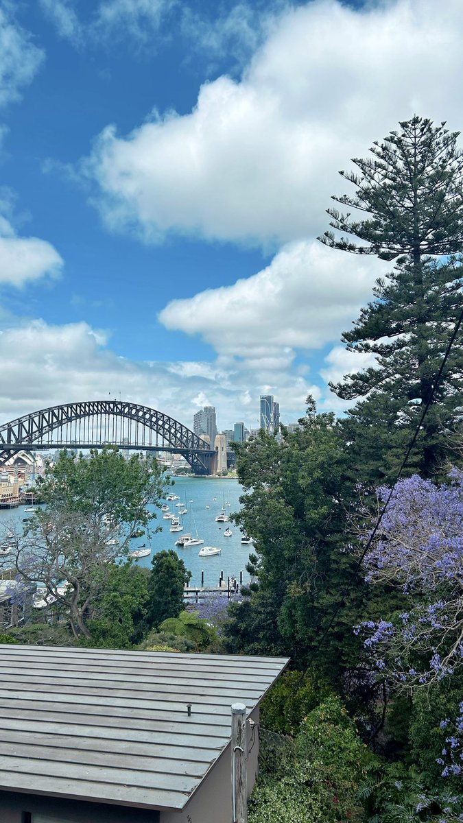 Alexandra Higginson tweet media