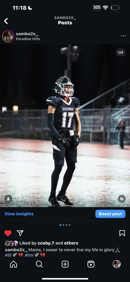 Samuel Noa Hall tweet media