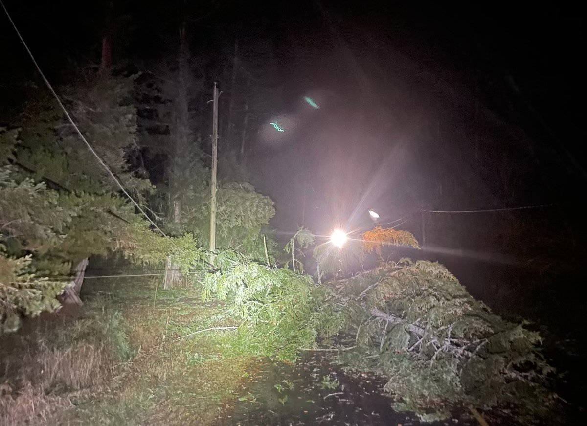 BC Hydro (@bchydro) on Twitter photo #BCStorm update: High winds have caused extensive damage to our system and outages to over 180,000 customers in the Lower Mainland, Sunshine Coast and on Vancouver Island. Crews will continue to work throughout the night to make repairs and restore power. High winds and access #BCStorm update: High winds have caused extensive damage to our system and outages to over 180,000 customers in the Lower Mainland, Sunshine Coast and on Vancouver Island. Crews will continue to work throughout the night to make repairs and restore power. High winds and access