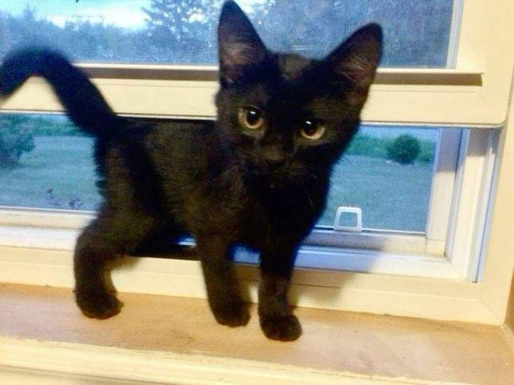 I know they won't give me a kiss 💋 because I'm not pretty 🥺🥺