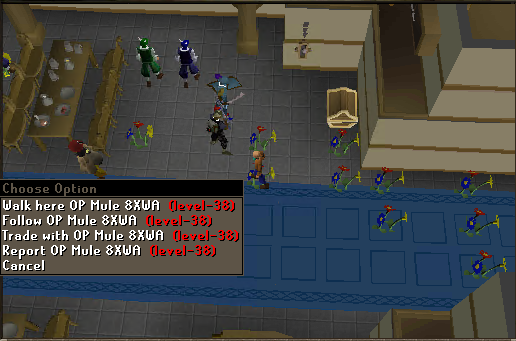 RSN: MemeFi Coin spotted in op duel spotted playing flower poker! <a href="/JagexSupport/">Jagex Support</a> <a href="/KempQRS/">KempQ</a> <a href="/JagexKieren/">Mod Kieren</a> <a href="/JagexLight/">Mod Light</a> <a href="/JagexHusky/">JagexHusky</a> <a href="/JagexTyran/">Mod Tyran</a> <a href="/SirPugger/">SirPugger</a> <a href="/OldSchoolRS/">Old School RuneScape</a> #jagex