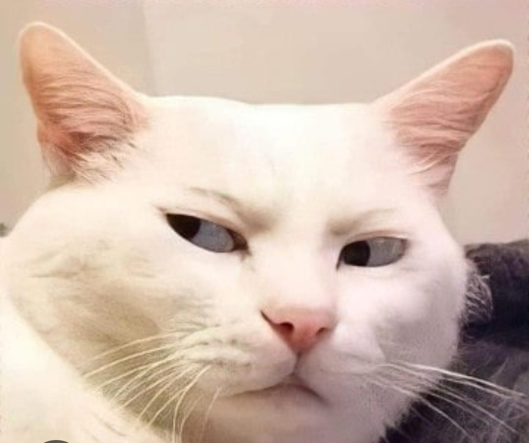 What the hell is this? 

#IZNA #JUNGEUN