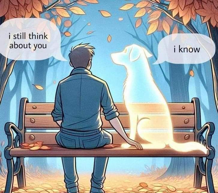 Shipwreck (@markthesnark2) on Twitter photo 