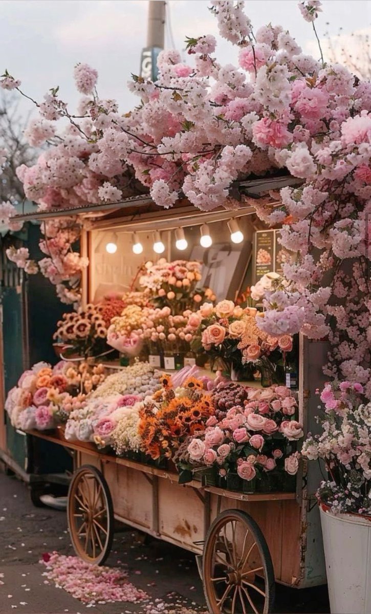 Çiçeklendiniz (@ciceklendirdik) on Twitter photo 