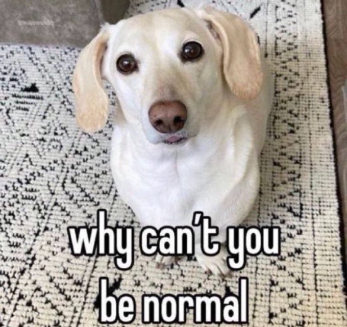 angie 🎡 tweet media