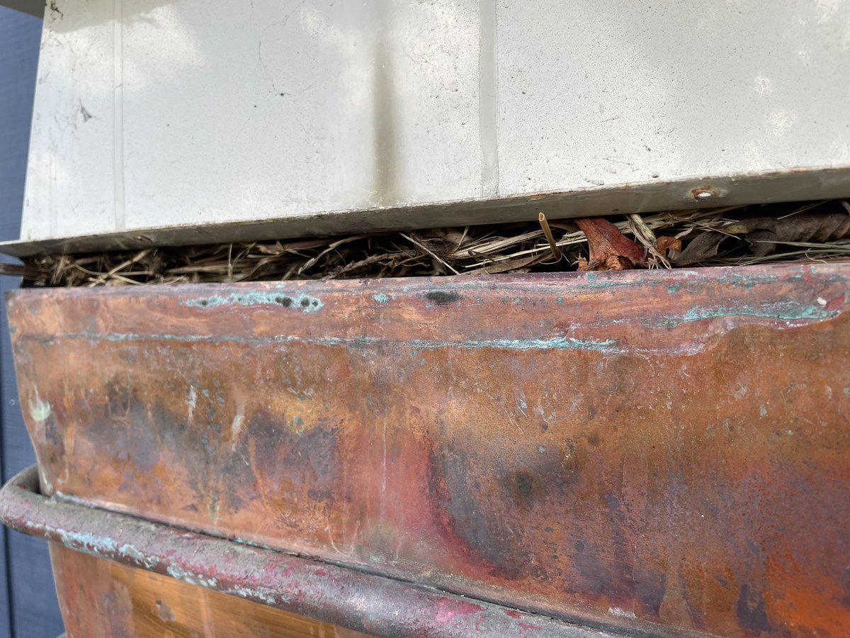 only_a_ripple's tweet photo. The nest didn’t catch fire fortunately then set the house alight. Bosch NZ have responded that the 2 year warranty has expired and it’s our problem. Really? https://t.co/pl80AK8cHG