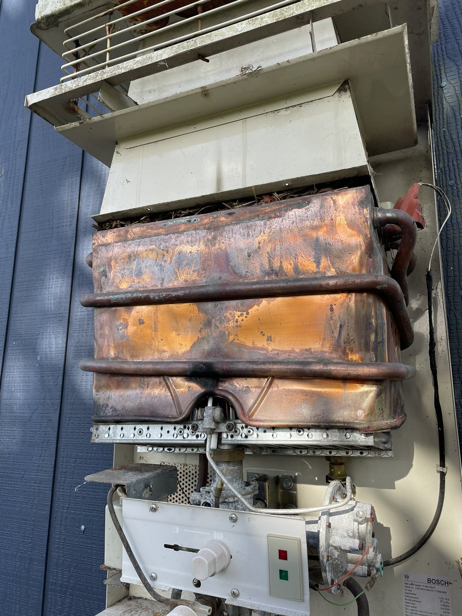 only_a_ripple's tweet photo. The nest didn’t catch fire fortunately then set the house alight. Bosch NZ have responded that the 2 year warranty has expired and it’s our problem. Really? https://t.co/pl80AK8cHG